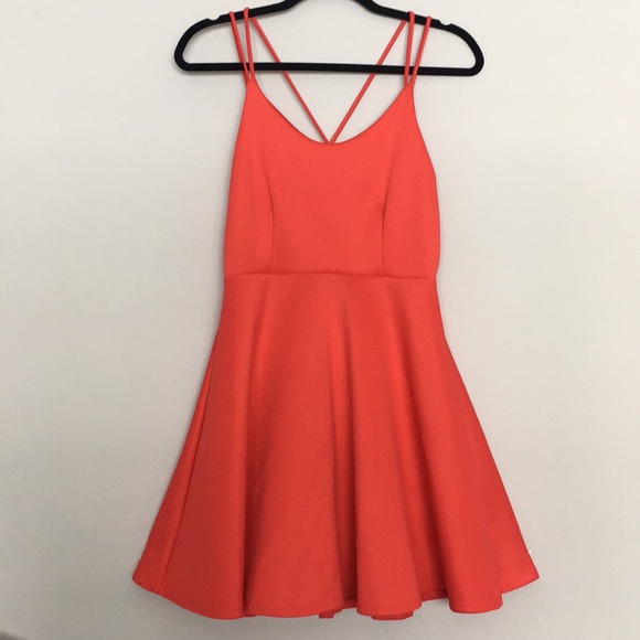 Finn & Clover Dresses & Skirts - Reddish/Pink Skater Dress